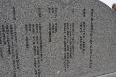 0455_xlarge